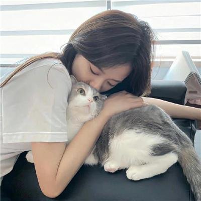 猫城