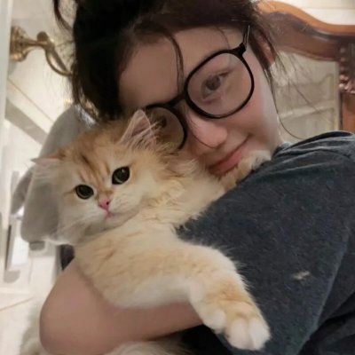 戴帽子的猫